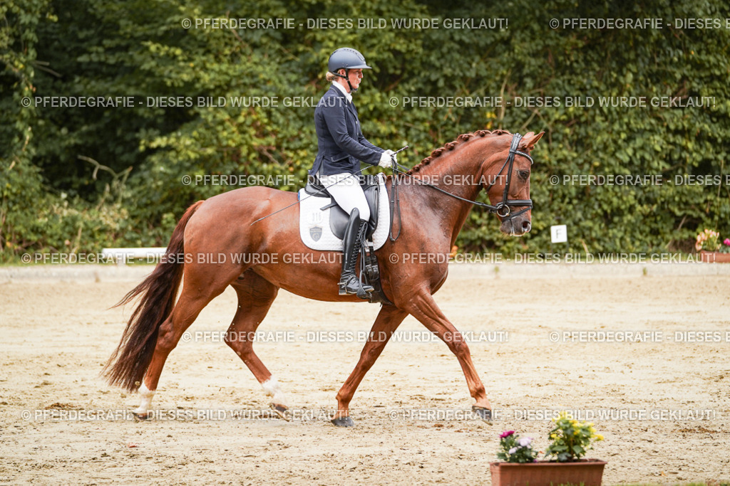 DSC09399 | Pferdegrafie