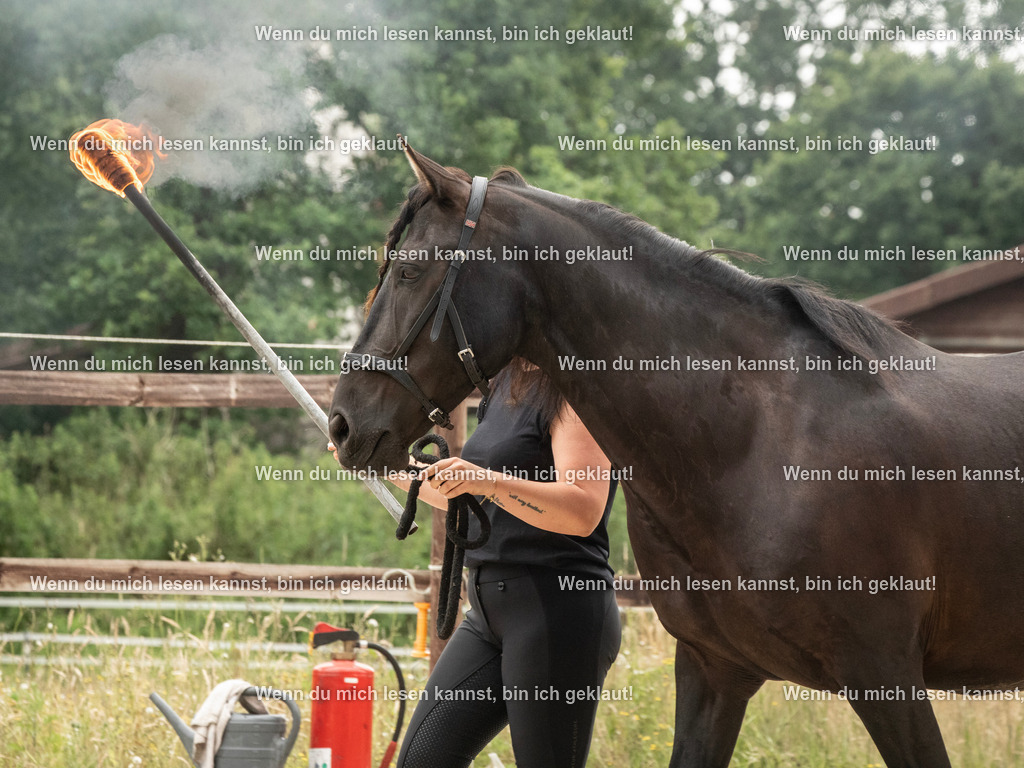 598A7282 | photographylinaismer - Realisiert mit Pictrs.com