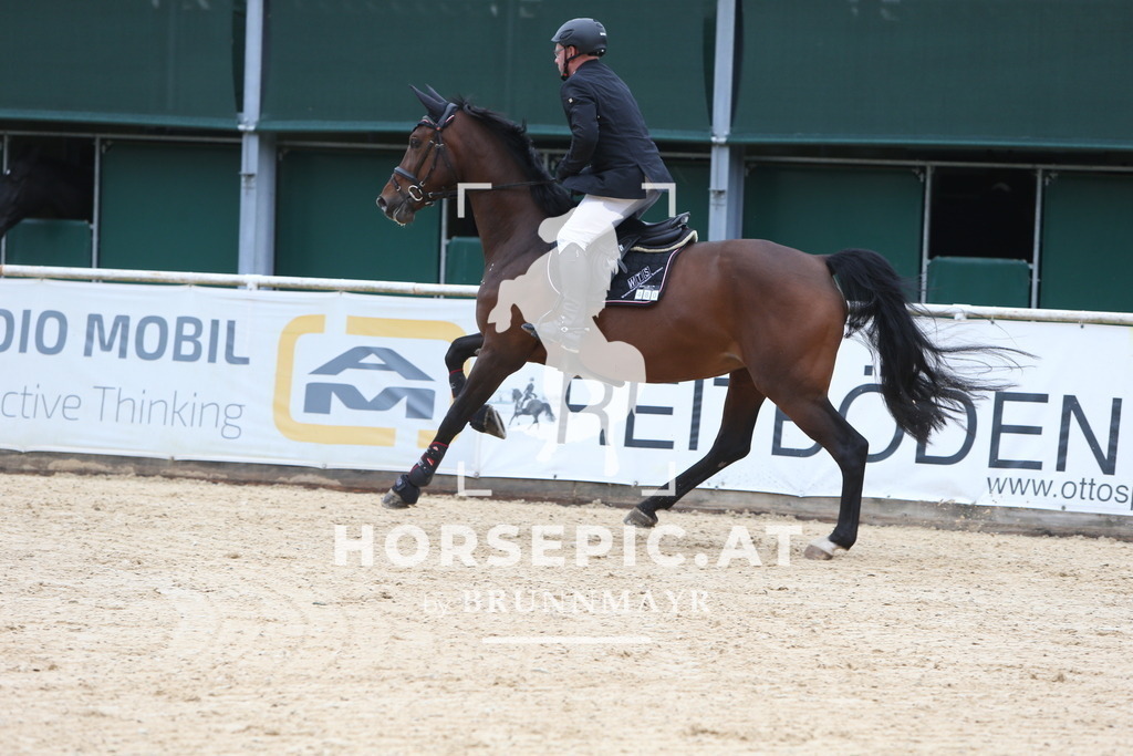 DL2Q0688 | Willkommen bei Brunnmayr - Design & Fotografie – Ihrem Spezialisten für Reitturniere und Pferdeveranstaltungen in Oberösterreich, Salzburg und Bayern! Seit über 17 Jahren sind wir leidenschaftlich dabei.