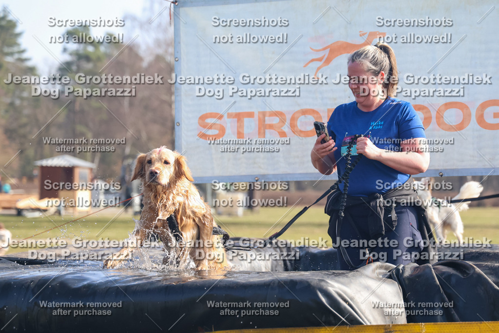 Dog Paparazzi - Strongdog North Mrz26-877 | Dog Paparazzi Jeanette Grottendiek Fotografie & Videografie - Realisiert mit Pictrs.com