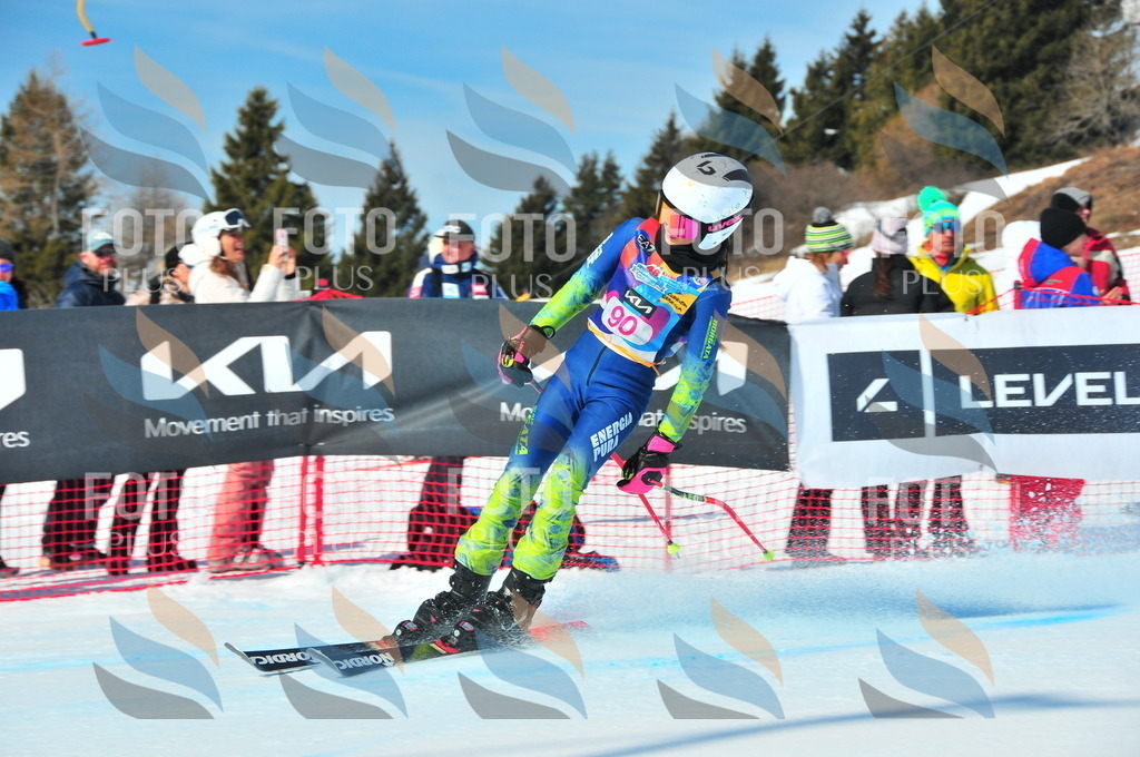 DSC_4492 | holidayphoto