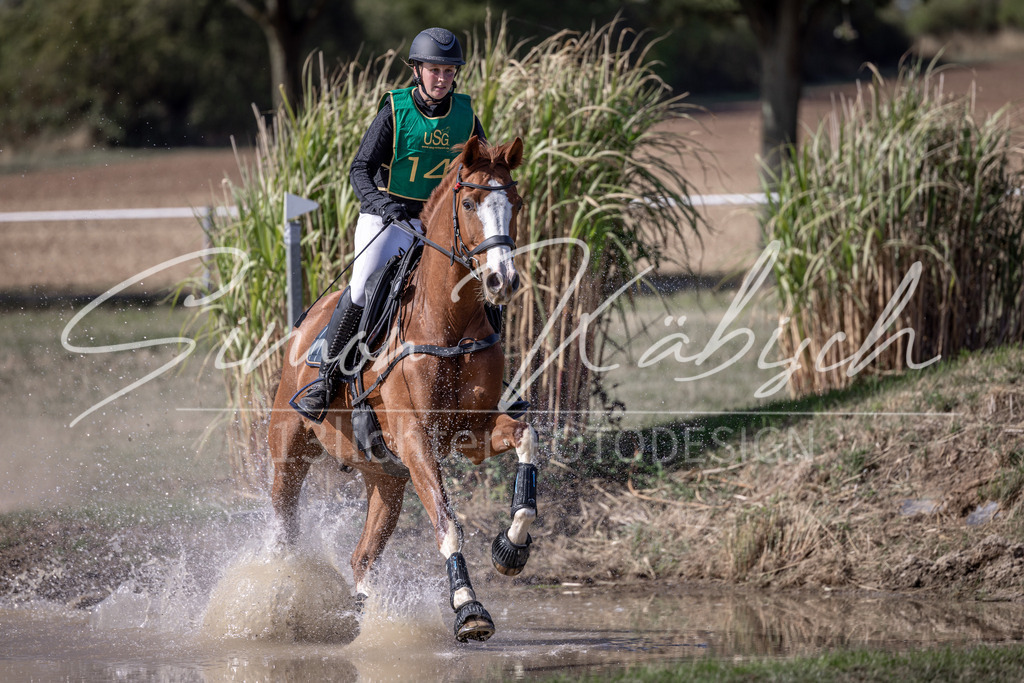 20260906-_3LI6103 | Tierfotografie Pferde, Hunde, Katzen, Haustiere.
Turnierfotografie Reitturniere, Reiten, Springreiten, Dressur in Hanau, dem Main-Kinzig-Kreis und dem Rhein-Main- Gebiet um Frankfurt