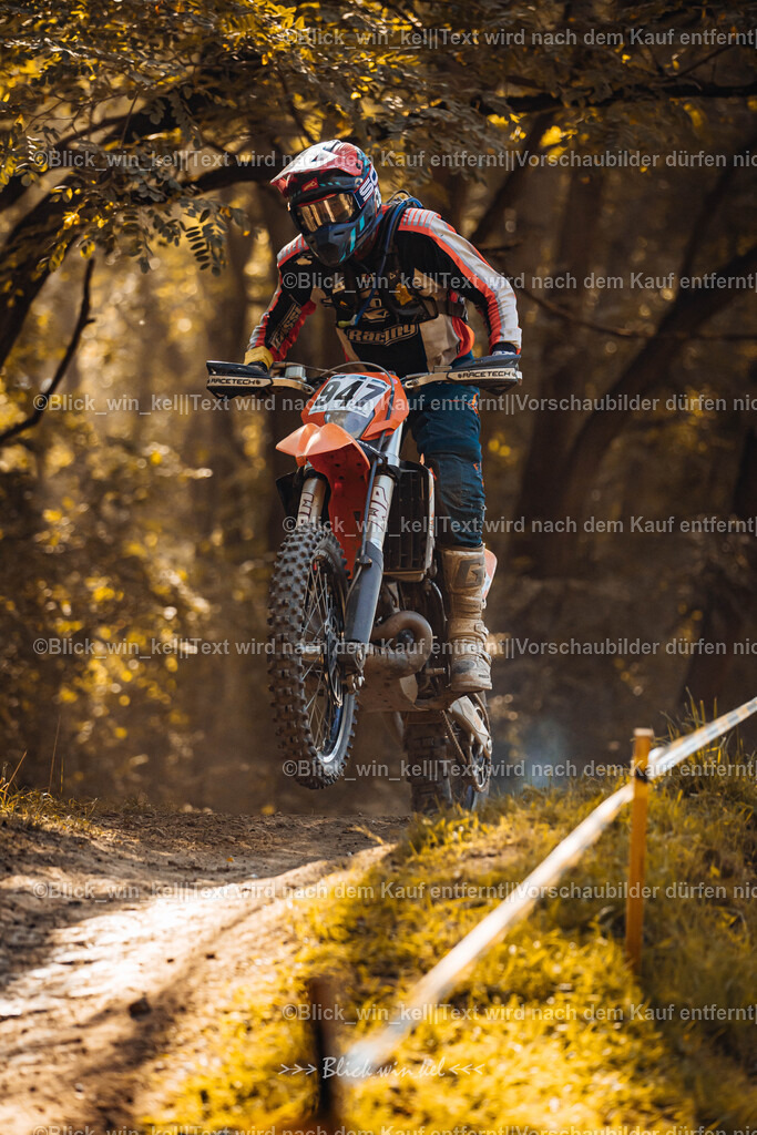 E68A6837 | blick_win_kel