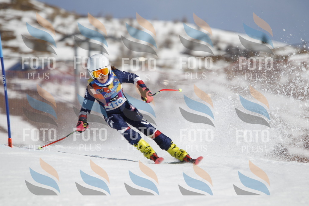 _U3G0670 | holidayphoto