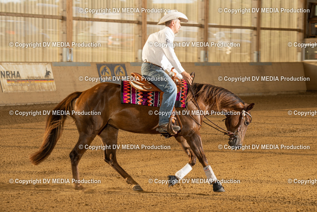 LAU01970 | dv-media-shop - Realisiert mit Pictrs.com