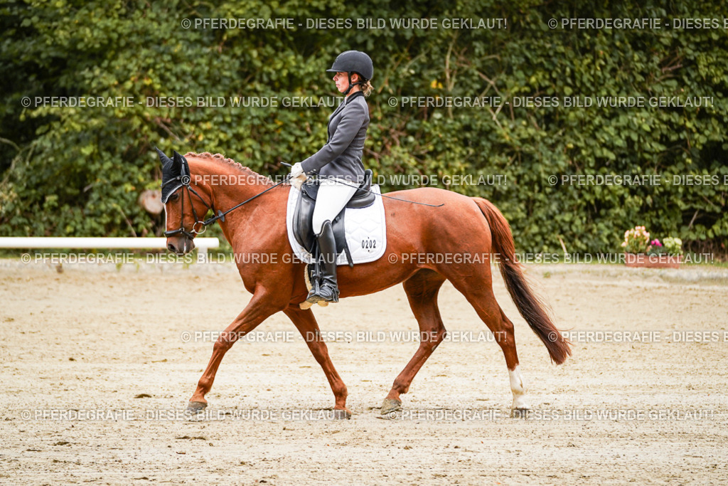 DSC08713 | Pferdegrafie