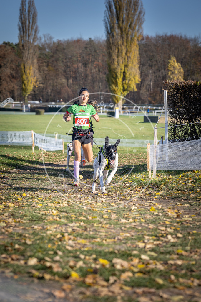 CaniXpix_DV3A9677 | Hundefotografie, Tierfotograf, Pfotenfotografie, Fotoshooting Hund, Hunde Portrait, Hundesport, Hundeportraits, Heideshooting, Hunde, Sportfotograf, Hundefotograf, Turnierhundsport, THS,  - Realisiert mit Pictrs.com