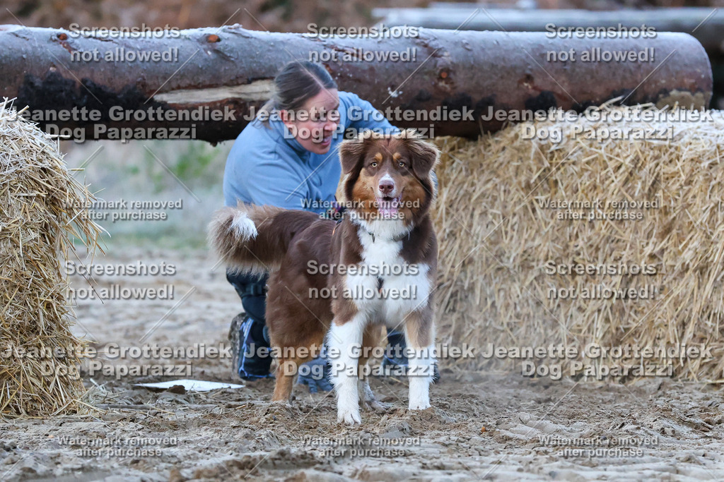 Dog Paparazzi - Strongdog 10-25-121 | Dog Paparazzi Jeanette Grottendiek Fotografie & Videografie - Realisiert mit Pictrs.com