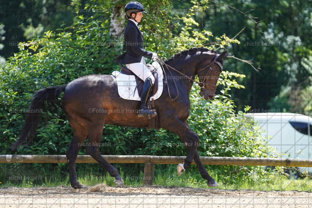 20240705-FAH04124 | Turnierbilder von Grafing, Reitsportbilder, Turnierfotos, Turnierfotografen Bayern, Pferdefotograf, Fotoagentur Herrmann