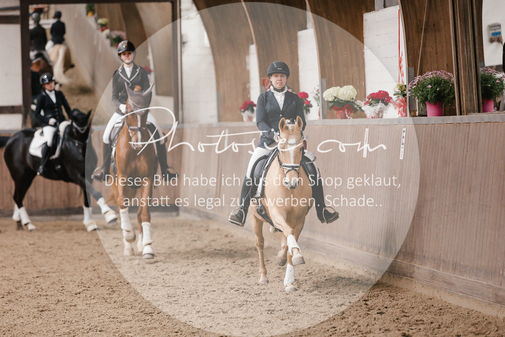 3I6A6987 | Stimmungsvolle Portraits und Reitsportfotografie im Ruhrgebiet und im Münsterland.

Pferdefotografie, Hundefotografie, Tierfotografie, Reportagen, Portraits von Tier und Mensch, Turnierfotografie in Bochum, Recklinghausen, Marl, Haltern am See, Dülmen.. - Realisiert mit Pictrs.com