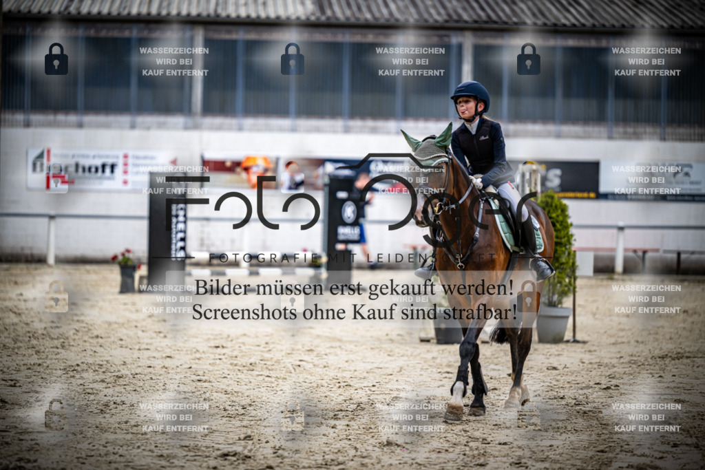 Turnier Laggenbeck 2026-15-0166 | Entdecke hochwertige Reitturnierfotos von Foto Oger. Professionell, emotional und authentisch – jetzt Lieblingsmomente im Shop bestellen.Deutschlandweite Turnierfotografie. - Realisiert mit Pictrs.com