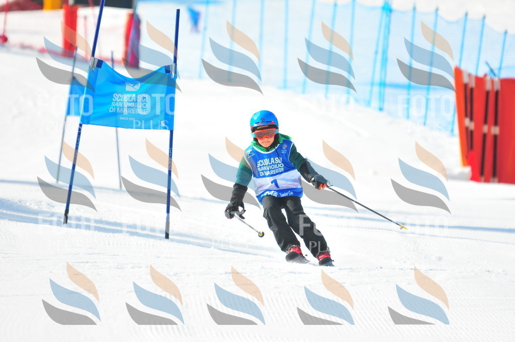 B8876 | holidayphoto