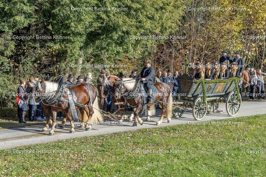 LBT25-561 | foto-bettina-krinner - Realisiert mit Pictrs.com
