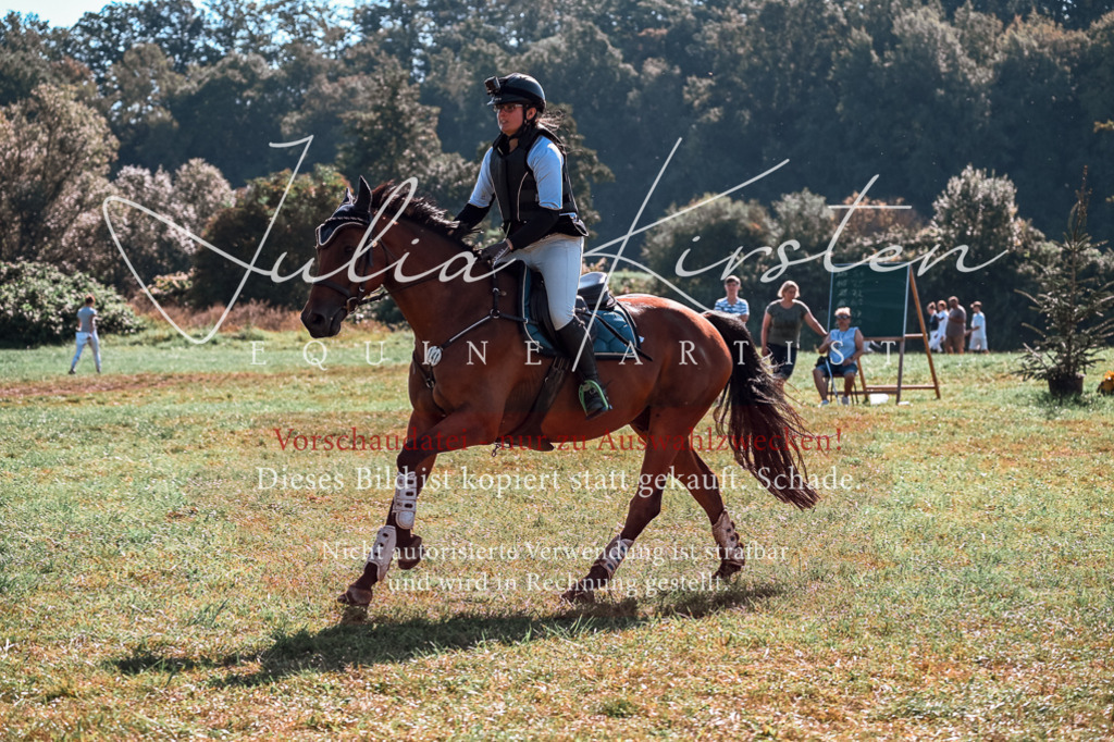 DSC_0729 | Pferde- und Turnierfotografie in Westsachsen. Pferdeportraits, Auftragszeichnungen und intuitive Kunst.