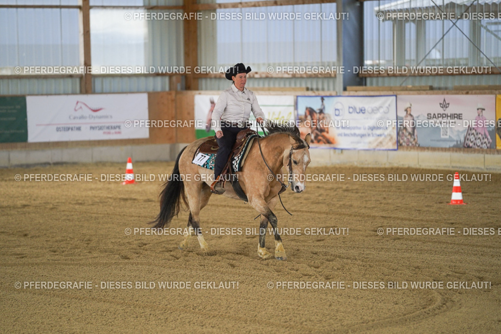 DSC09777 | Pferdegrafie