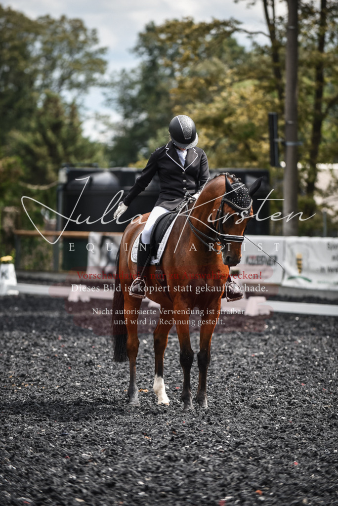 DSC_4971 | Pferde- und Turnierfotografie in Westsachsen. Pferdeportraits, Auftragszeichnungen und intuitive Kunst.