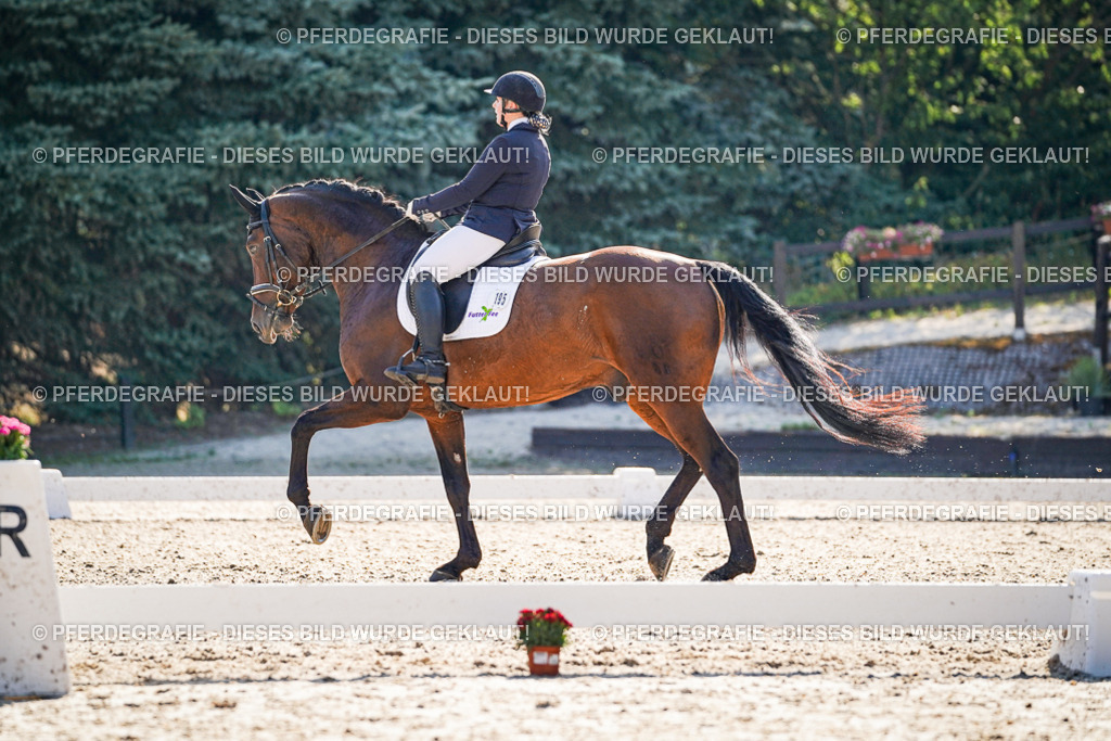 DSC09657 | Pferdegrafie