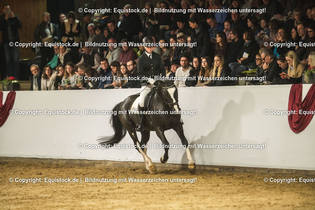 20240302_Hengstvorstellung_Marbach_TOMsPiC_0682 | equistock