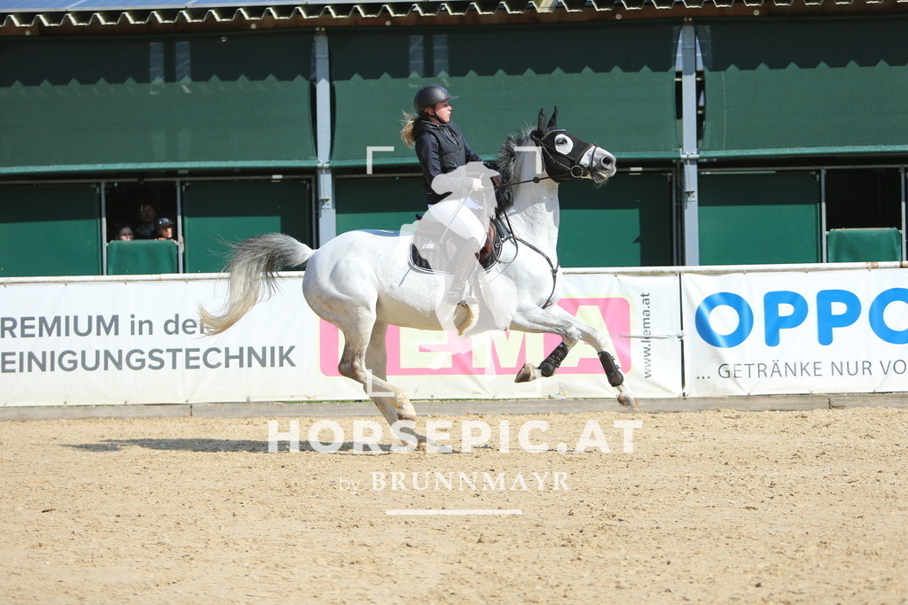 DL2Q8300 | Willkommen bei Brunnmayr - Design & Fotografie – Ihrem Spezialisten für Reitturniere und Pferdeveranstaltungen in Oberösterreich, Salzburg und Bayern! Seit über 17 Jahren sind wir leidenschaftlich dabei.