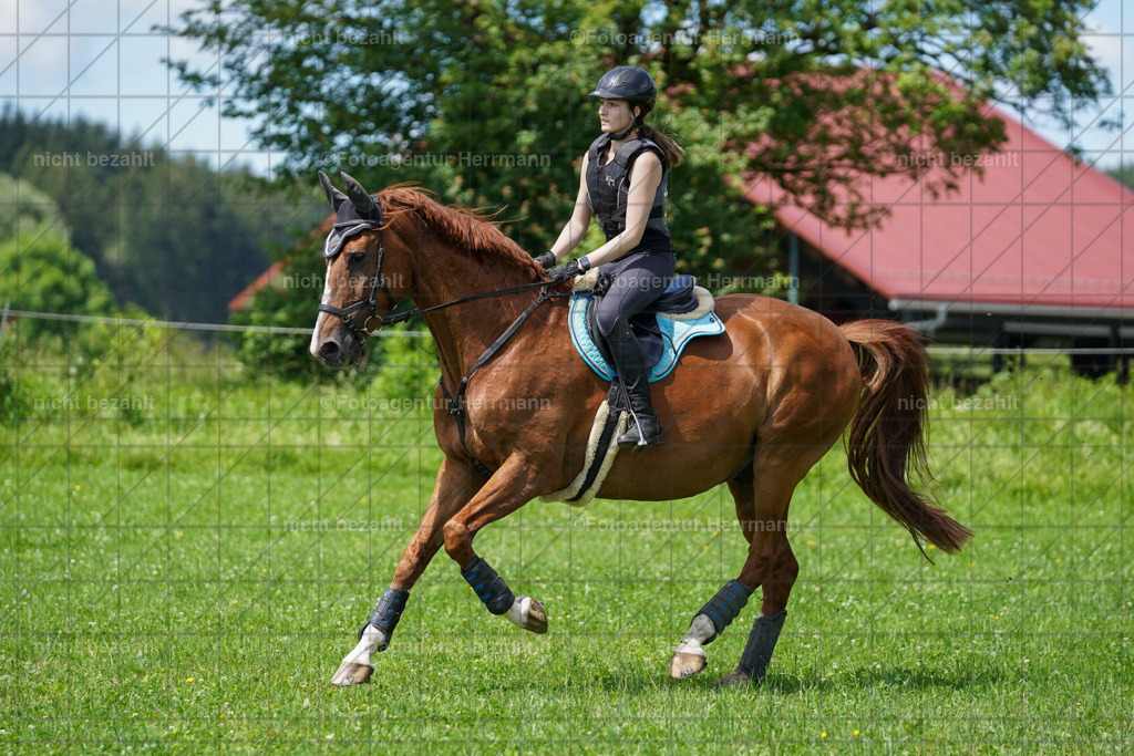 20240622-FAH06779 | Turnierfotografen Bayern, Reitsportbilder aus dem Geländekurs mit Felix Etzel auf dem Gut Waitzacker 2024