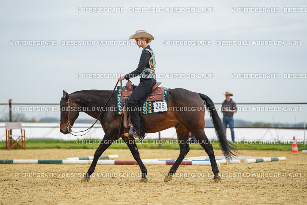 DSC03209 | Pferdegrafie