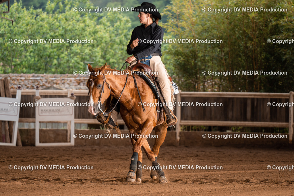 Erbach Tag 2-943 | dv-media-shop - Realisiert mit Pictrs.com