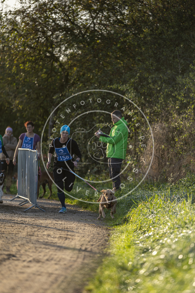 Pfotenfotografie.de_DV3A2548 | Hundefotografie, Tierfotograf, Pfotenfotografie, Fotoshooting Hund, Hunde Portrait, Hundesport, Hundeportraits, Heideshooting, Hunde, Sportfotograf, Hundefotograf, Turnierhundsport, THS, canicross - Realisiert mit Pictrs.com