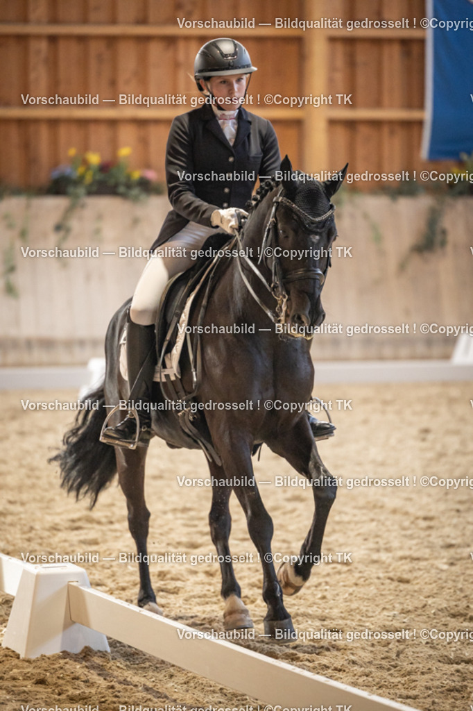 _D5A9679 | Emotionale Pferde- & People-Fotografie rund um Heidelberg, Leimen & Umgebung. Natürliche Fotos von Pferd, Mensch & Familie. Jetzt Termin sichern!