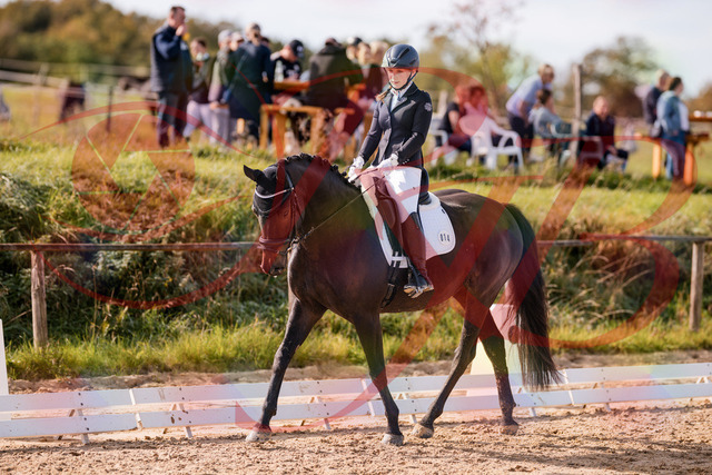 2026_10_03_Siefer-Hof_121335_Z81_13973538 | Professionelle Reitsport-, Turnier- und Eventfotografie von Robert Broda. Galerien mit ausgewählten und bearbeiteten Bildern direkt online ansehen und bestellen.