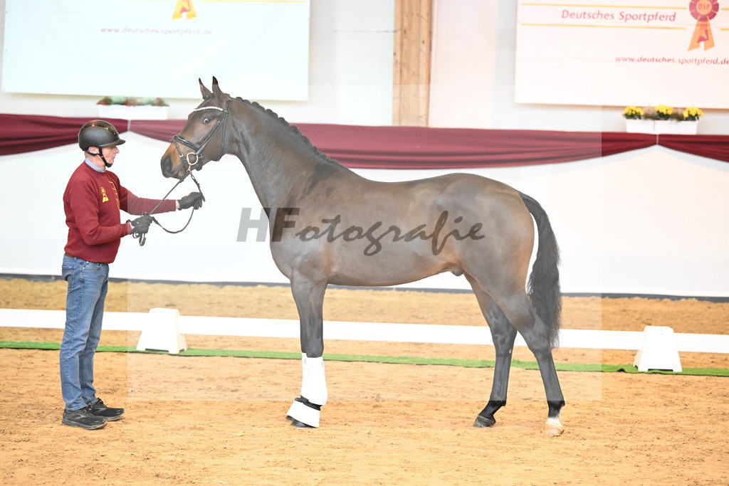 Kat-Nr. 49 v. Secret_Lachat_66220626 | hf-fotografie - Realisiert mit Pictrs.com