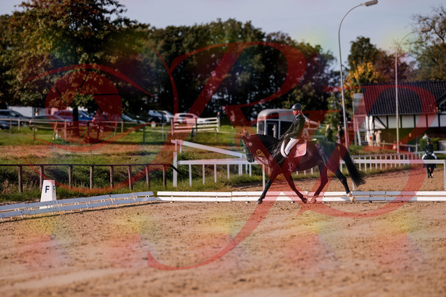 2026_10_03_Siefer-Hof_115623_Z81_97101852 | Professionelle Reitsport-, Turnier- und Eventfotografie von Robert Broda. Galerien mit ausgewählten und bearbeiteten Bildern direkt online ansehen und bestellen.