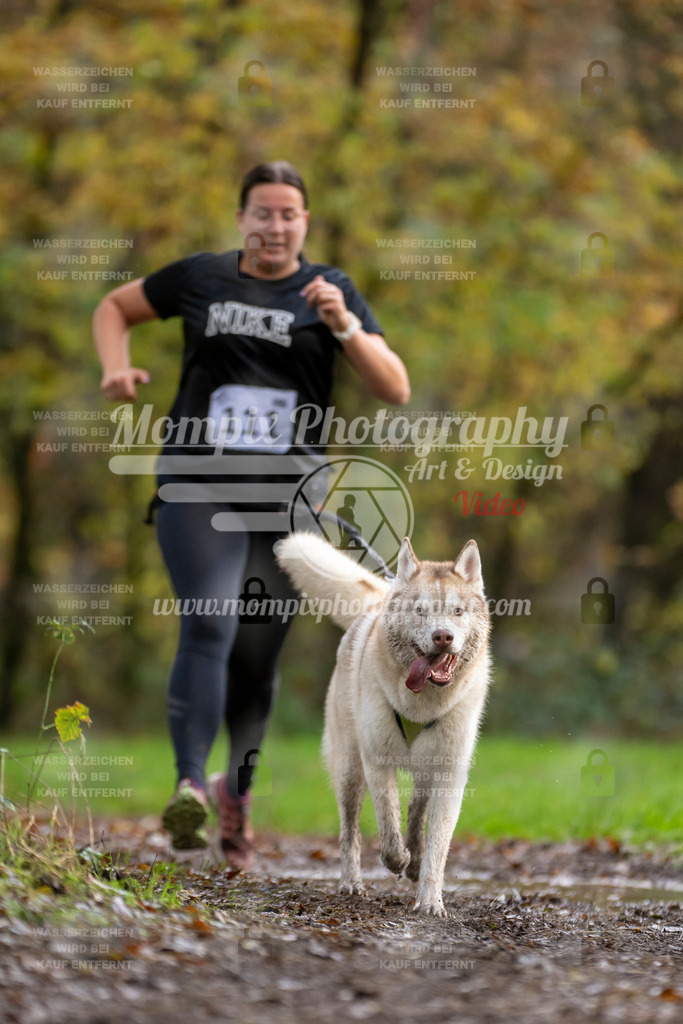 MompixPhotography_Bischwiller23_Canicross-99 | PayLife