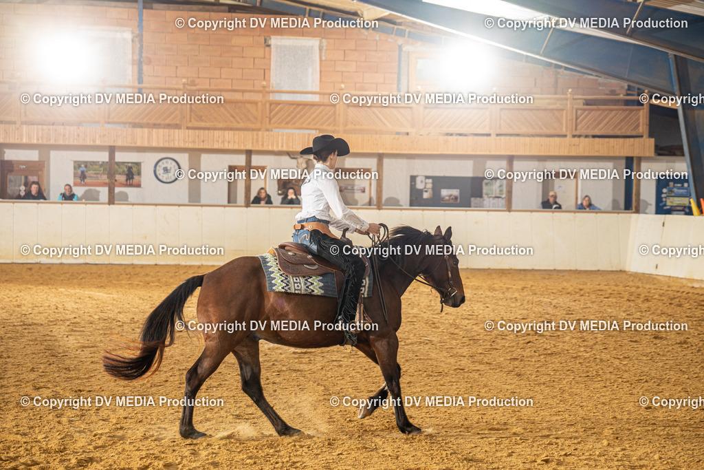 MIT00765 | dv-media-shop - Realisiert mit Pictrs.com