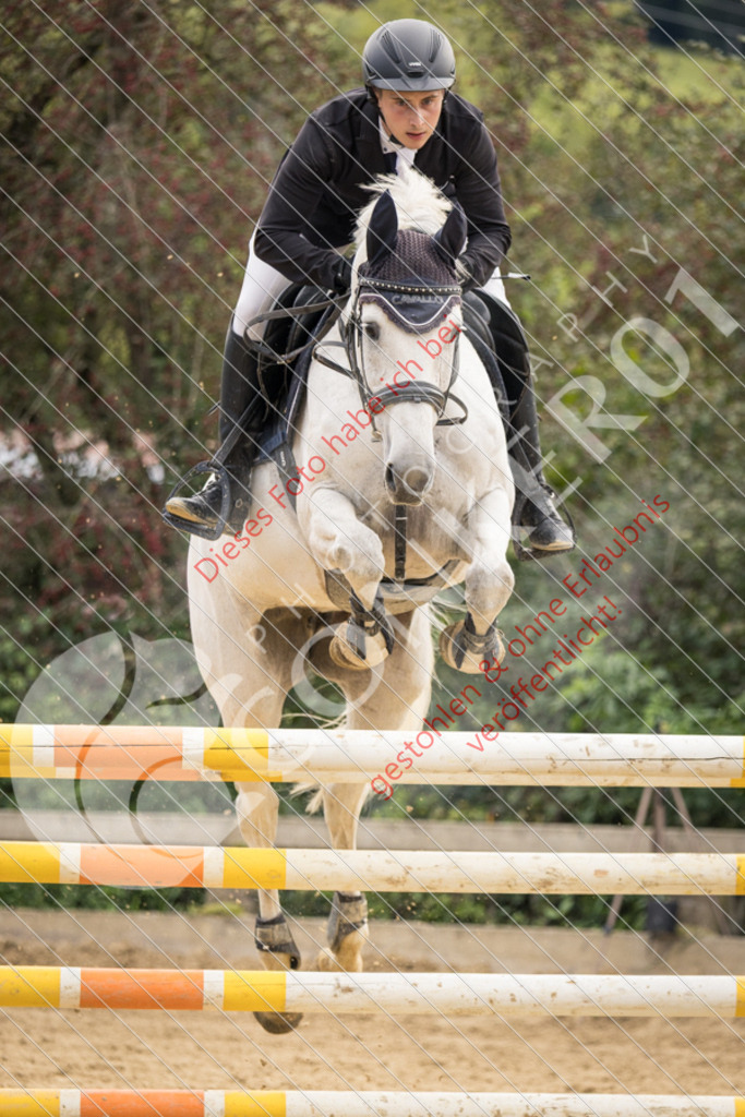 CON_6634 | Sport-, Event- und Tierfotos in Profiqualität. Einfach auswählen, bestellen und herunterladen. Dein Moment – perfekt festgehalten.