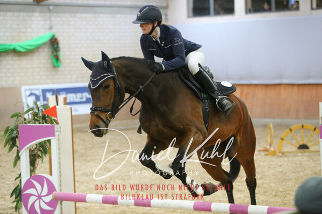 IMG_0707 | Turnierfotos kaufen im Webshop von Daniel Kuhl Photography – entdecke professionelle Reitsportfotos aus Turnieren & Events. Hochwertige Turnierbilder online bestellen & sichern. Jetzt Fotos von Reitsportturnieren kaufen!