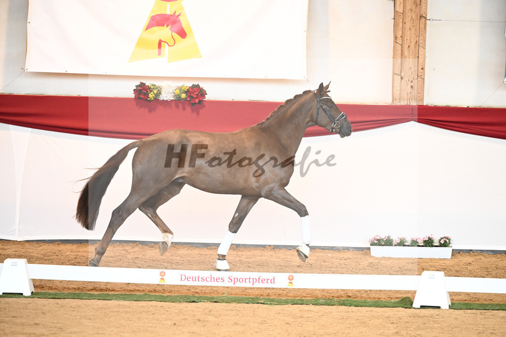 Kat-Nr. 41 Morricone I x De Niro_Kozok_43230518 | hf-fotografie - Realisiert mit Pictrs.com