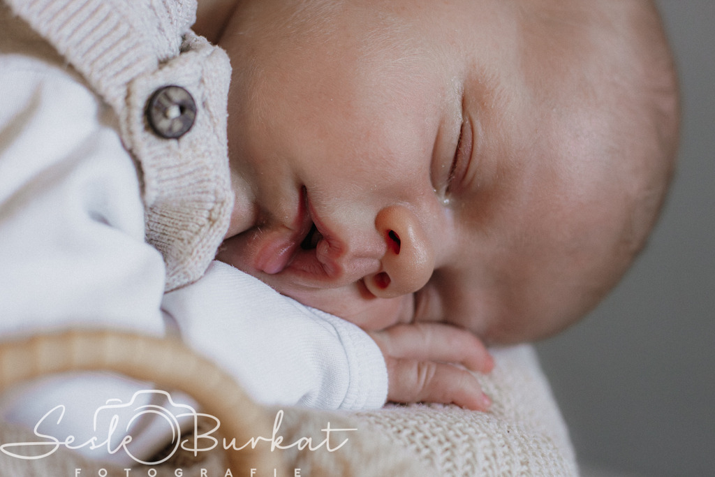 20260315-IMG_8376 | Authentische, natürliche und emotionale Fotoshootings auf der Nordseeinsel Föhr. Als Fotografin halte ich deine schönsten Momente in einzigartigen Neugeborenen-, Familien-, Paar- und Einzelshootings fest. Jetzt einen Termin vereinbaren!