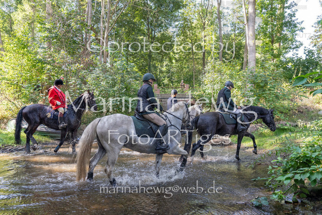 Jagd Perdoel_MarinaHewigDSC02544 | Fotografie, FotoArt, PferdesportArt, Pferdesportfotografie, Landschaftsfotografie, Reisefotografie, Reise, Pferde - Realisiert mit Pictrs.com