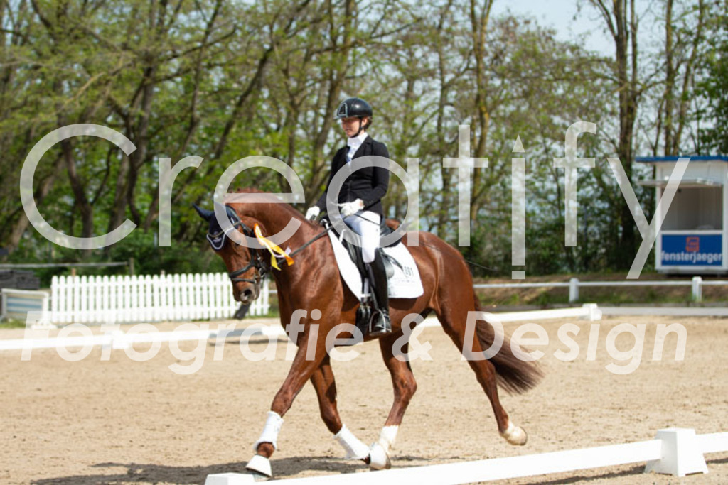 IMG_1950 | Creatify Fotografie