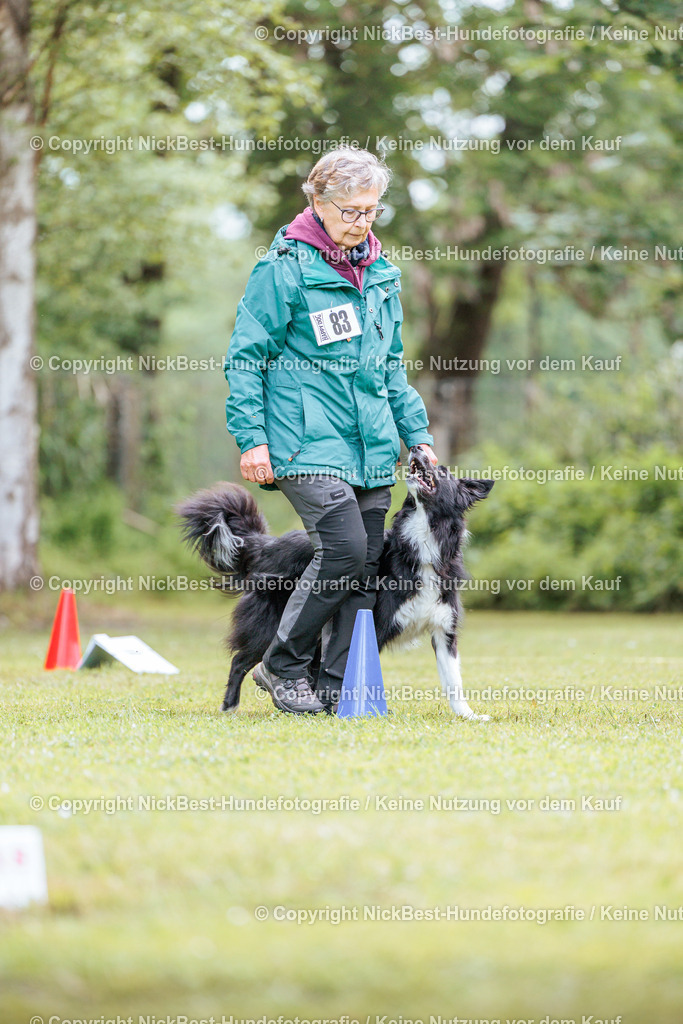 RO-Blumenthal-2026-Nickbest-Hundefotografie-5507 | Dein Hund! Dein Moment! Deine Erinnerungen! Hundefotografie in Bremen Blumenthal. Ich fange die besonderen Momente deines Vierbeiners ein – ob Indoor mit Blitzanlage oder in der freien Natur. Sicher dir dein Moment und dein Termin für eure Erinnerungen.