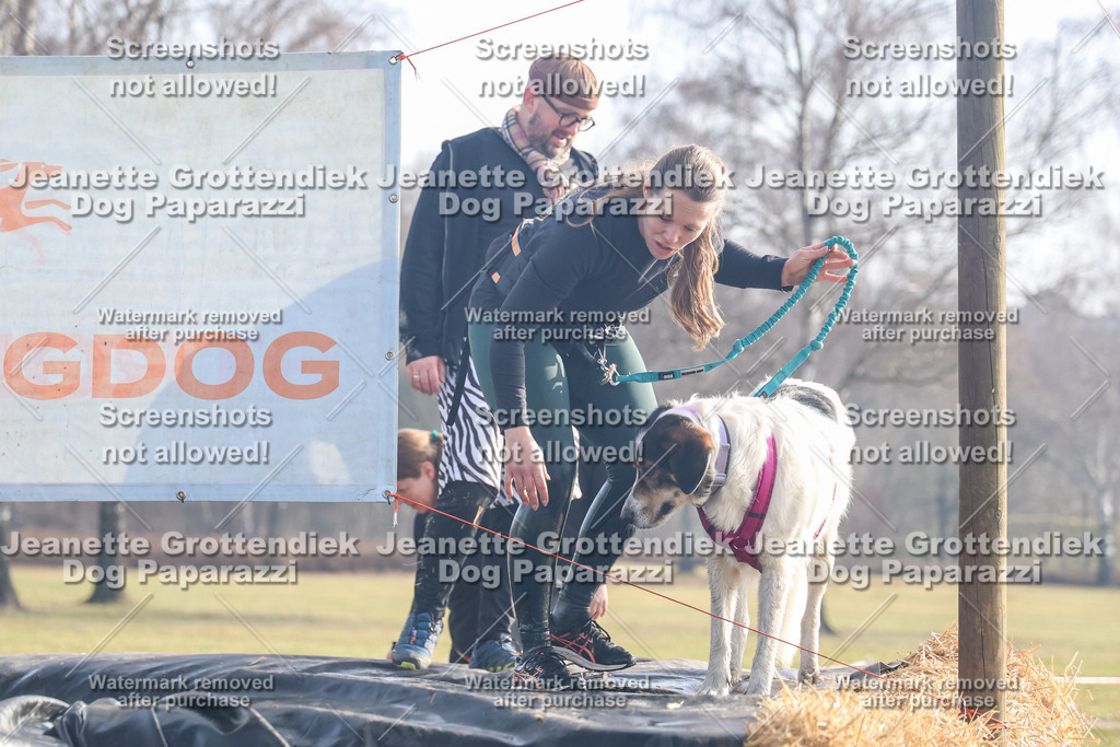 Dog Paparazzi - Strongdog North Mrz26-261 | Dog Paparazzi Jeanette Grottendiek Fotografie & Videografie - Realisiert mit Pictrs.com