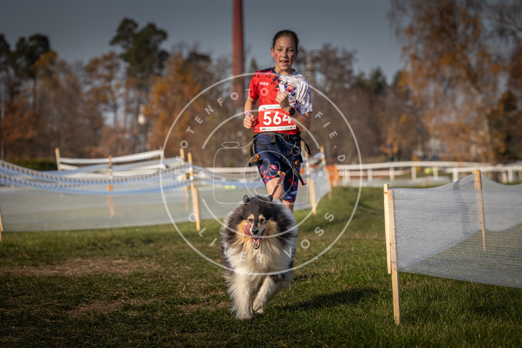 CaniXpix_0L8A9377 | Hundefotografie, Tierfotograf, Pfotenfotografie, Fotoshooting Hund, Hunde Portrait, Hundesport, Hundeportraits, Heideshooting, Hunde, Sportfotograf, Hundefotograf, Turnierhundsport, THS,  - Realisiert mit Pictrs.com