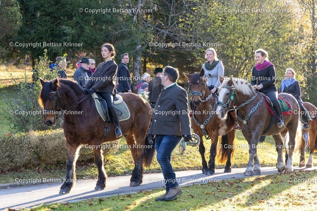 LL24-168 | foto-bettina-krinner - Realisiert mit Pictrs.com