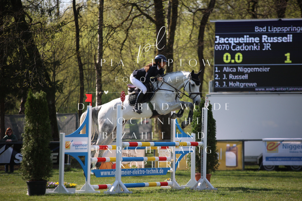 IMGT6061 | pl-fotografie