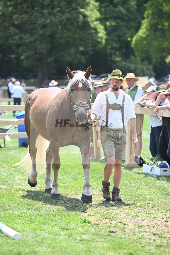 Kat-Nr. 44 Nanni_Probst_20230669 | hf-fotografie - Realisiert mit Pictrs.com