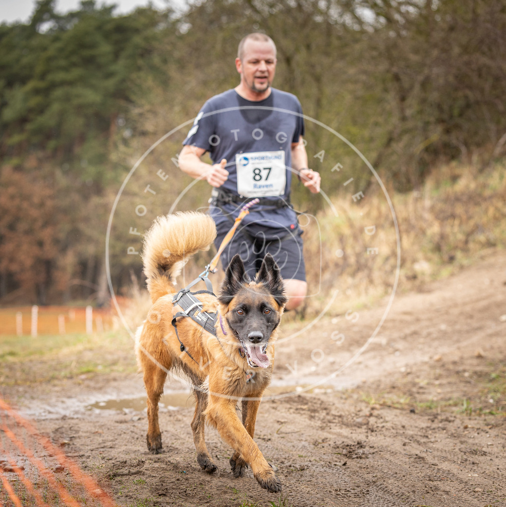 DV3A0376 | Hundefotografie, Tierfotograf, Pfotenfotografie, Fotoshooting Hund, Hunde Portrait, Hundesport, Hundeportraits, Heideshooting, Hunde, Sportfotograf, Hundefotograf, Turnierhundsport, THS,  - Realisiert mit Pictrs.com