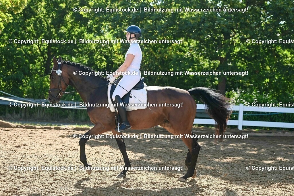 20230715_06_Dressurpferdeprfg. Kl.A_0271 | equistock