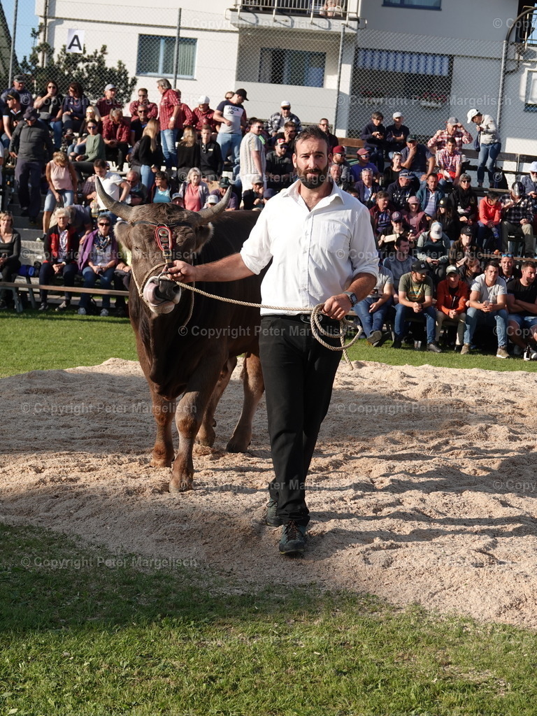 DSC05684 | Schwingen - Realisiert mit Pictrs.com