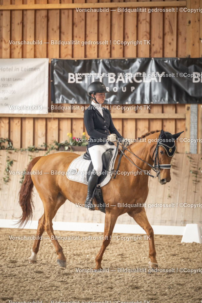 _D5A2777 | Emotionale Pferde- & People-Fotografie rund um Heidelberg, Leimen & Umgebung. Natürliche Fotos von Pferd, Mensch & Familie. Jetzt Termin sichern!
