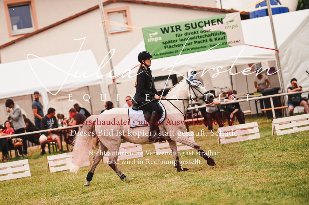 DSC_6969 | Pferde- und Turnierfotografie in Westsachsen. Pferdeportraits, Auftragszeichnungen und intuitive Kunst.